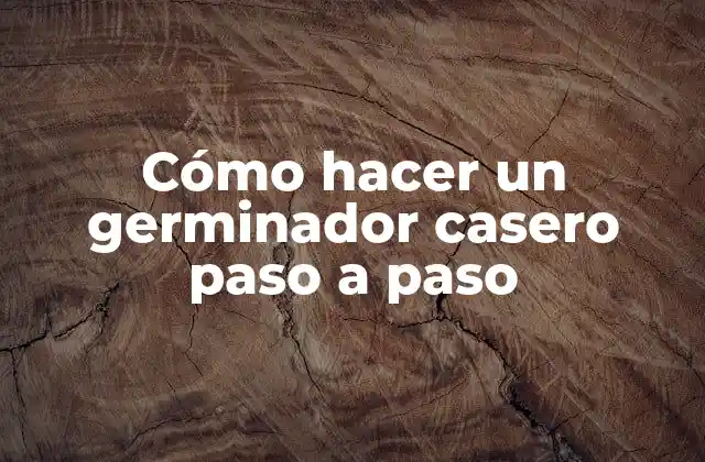 Cómo Hacer un Germinador Casero Paso a Paso