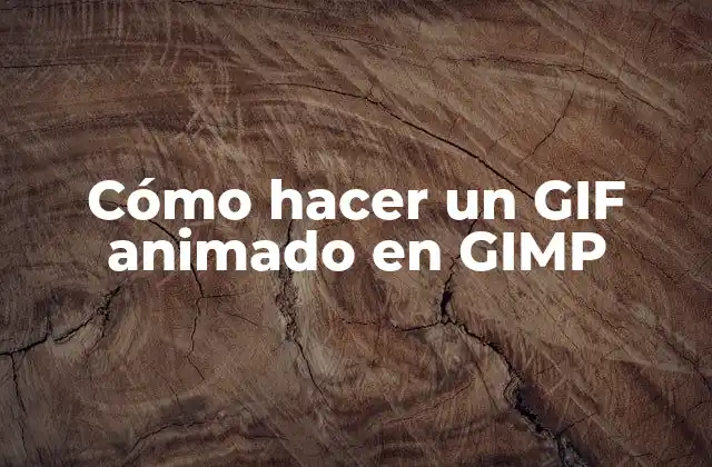 ¿Qué es un GIF animado en GIMP y para qué sirve?