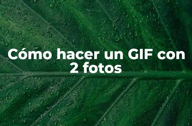 Cómo Hacer un Gif con 2 Fotos