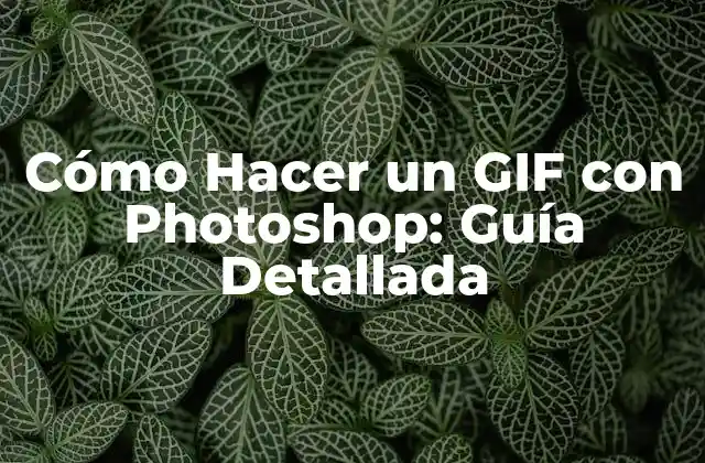 Cómo Hacer un Gif con Photoshop: Guía Detallada