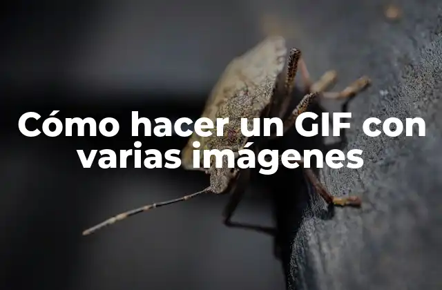 Cómo Hacer un Gif con Varias Imágenes