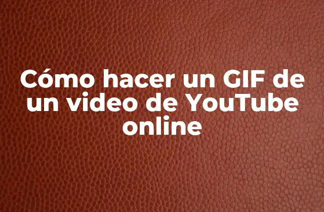 Cómo Hacer un Gif de un Video de Youtube Online