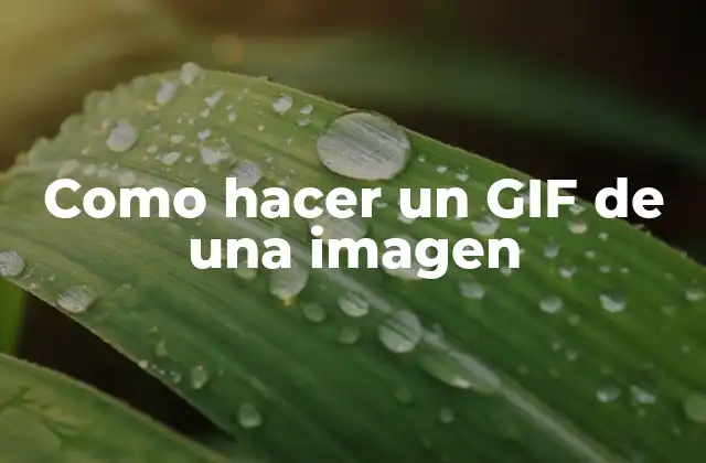 ¿Qué es un GIF y para qué sirve?