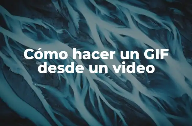 Cómo Hacer un Gif desde un Video