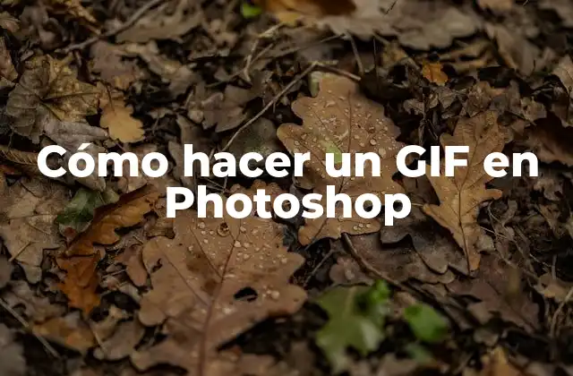 Cómo Hacer un Gif en Photoshop