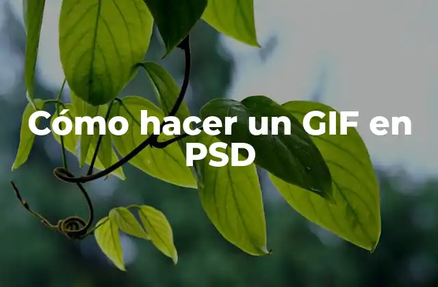 Cómo Hacer un Gif en Psd