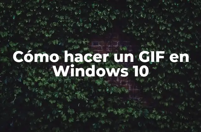 Cómo Hacer un Gif en Windows 10