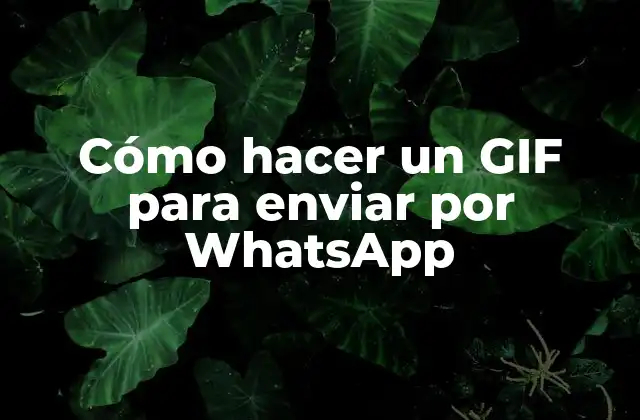 Cómo Hacer un Gif para Enviar por Whatsapp