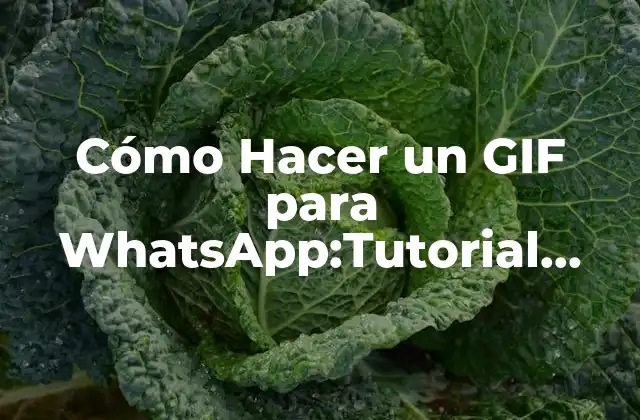 Cómo Hacer un Gif para Whatsapp:tutorial Paso a Paso