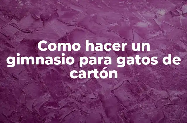 Como Hacer un Gimnasio para Gatos de Cartón
