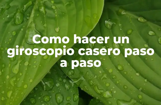 Como Hacer un Giroscopio Casero Paso a Paso