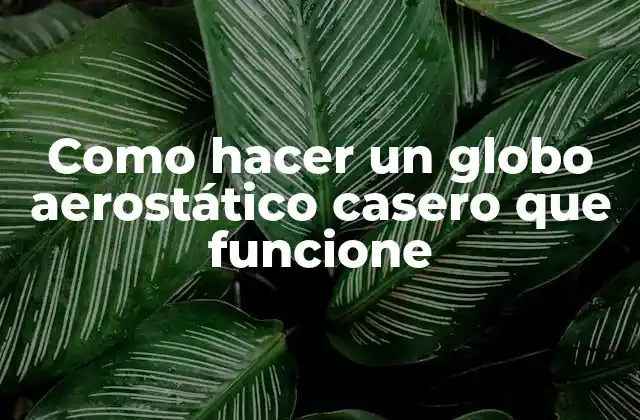 Como Hacer un Globo Aerostático Casero que Funcione