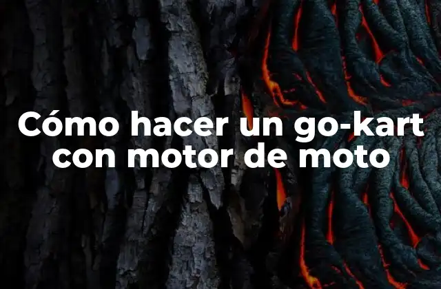 Cómo Hacer un Go-kart con Motor de Moto