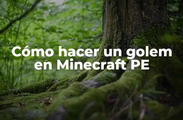 Cómo Hacer un Golem en Minecraft Pe