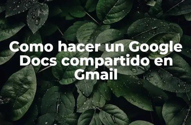 Como Hacer un Google Docs Compartido en Gmail