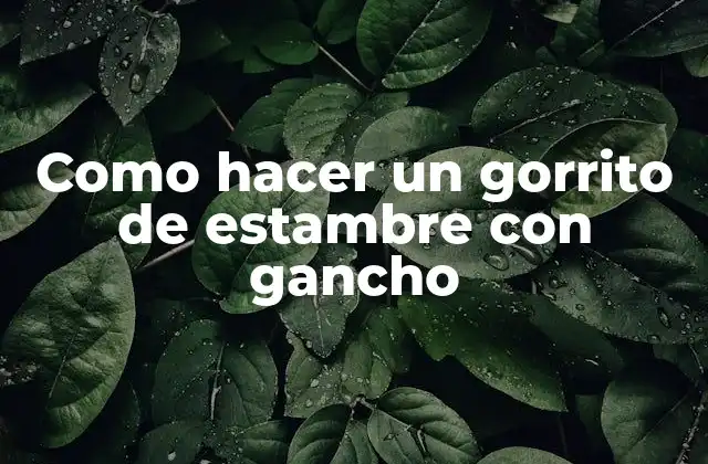 Como Hacer un Gorrito de Estambre con Gancho