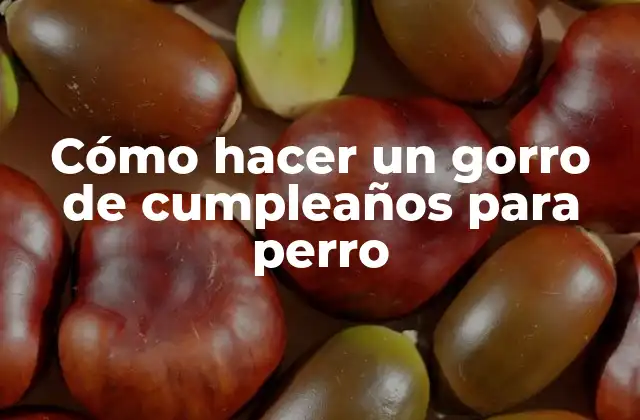 Cómo Hacer un Gorro de Cumpleaños para Perro