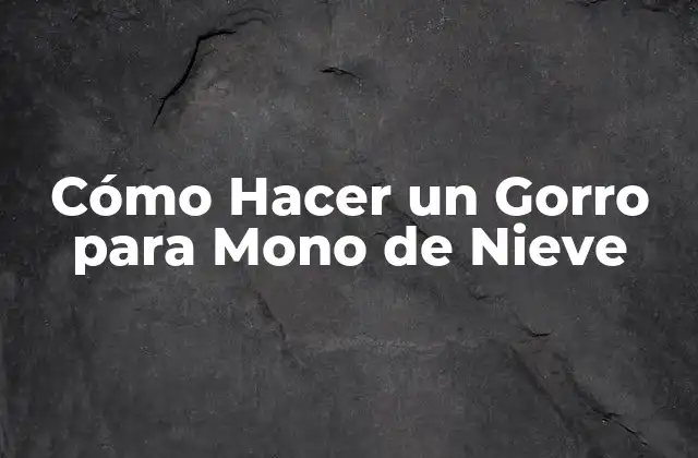 Cómo Hacer un Gorro para Mono de Nieve