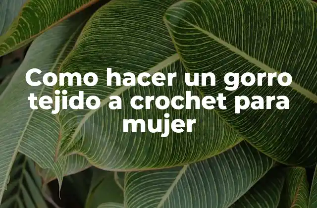 Como Hacer un Gorro Tejido a Crochet para Mujer