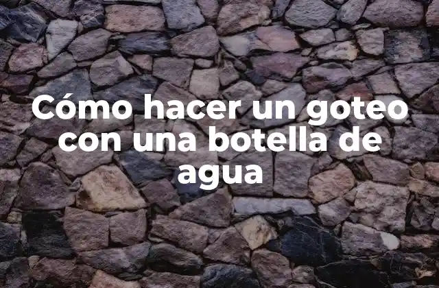 Cómo Hacer un Goteo con una Botella de Agua
