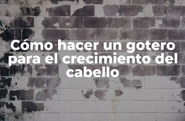 Cómo Hacer un Gotero para el Crecimiento Del Cabello