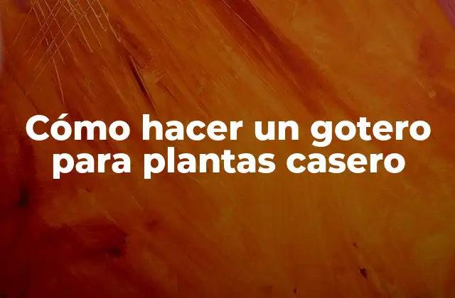 Cómo Hacer un Gotero para Plantas Casero