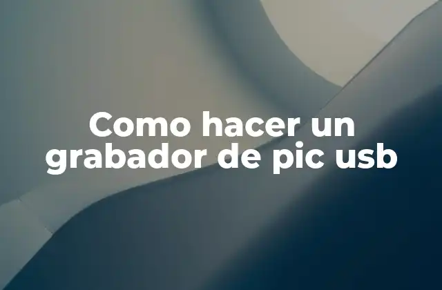 Como Hacer un Grabador de Pic Usb