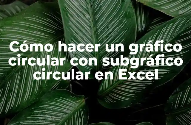 Cómo Hacer un Gráfico Circular con Subgráfico Circular en Excel