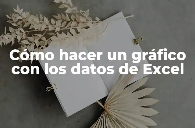 Cómo Hacer un Gráfico con los Datos de Excel