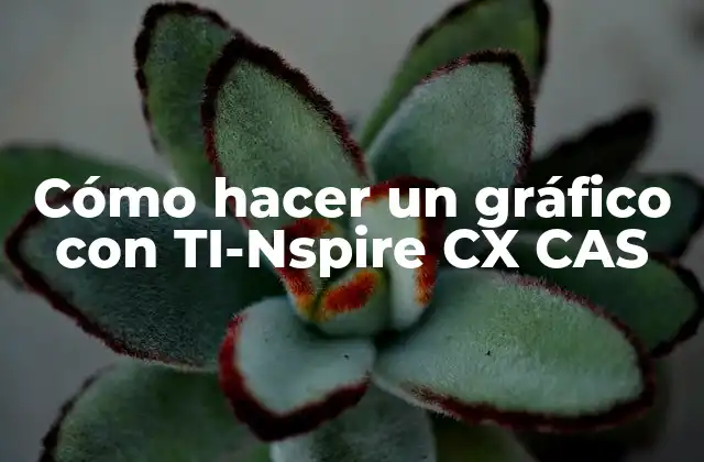 Cómo hacer un gráfico con TI-Nspire CX CAS