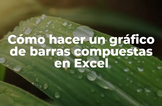 Cómo Hacer un Gráfico de Barras Compuestas en Excel