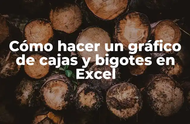Cómo Hacer un Gráfico de Cajas y Bigotes en Excel