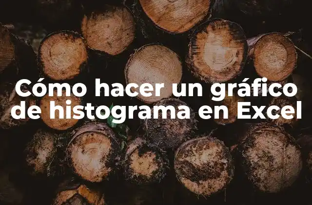 Cómo Hacer un Gráfico de Histograma en Excel