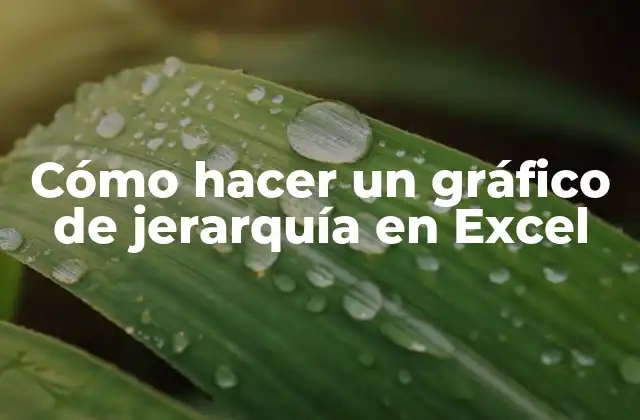Cómo Hacer un Gráfico de Jerarquía en Excel
