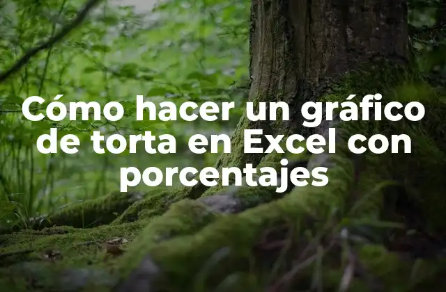 Cómo Hacer un Gráfico de Torta en Excel con Porcentajes