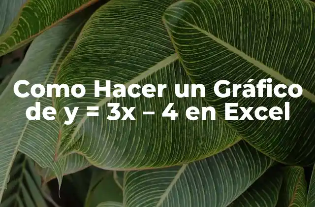 ¿Qué es un Gráfico de y = 3x - 4 en Excel?
