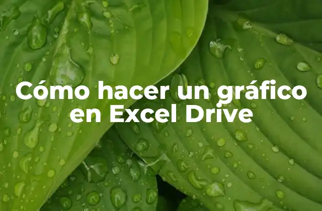 Cómo Hacer un Gráfico en Excel Drive