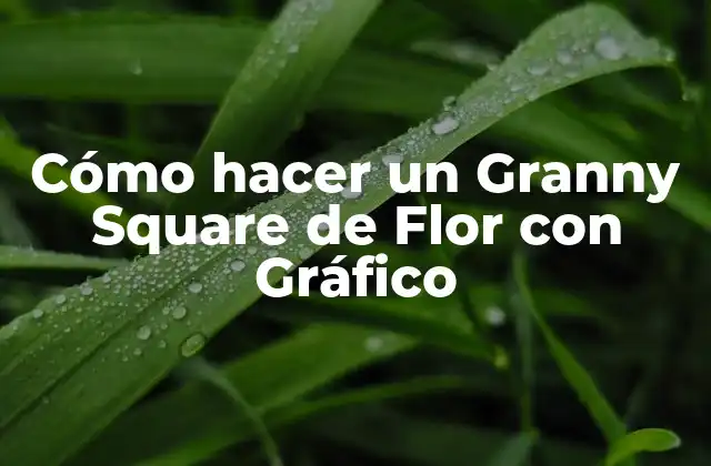 Cómo Hacer un Granny Square de Flor con Gráfico 2 ¿Qué es un Granny Square de Flor con Gráfico?