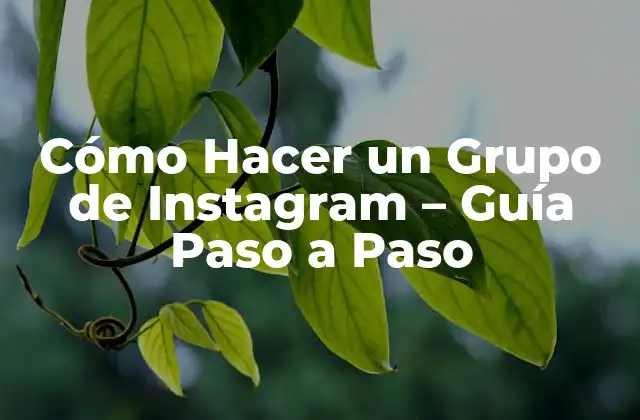 Cómo Hacer un Grupo de Instagram – Guía Paso a Paso