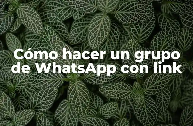 Cómo Hacer un Grupo de Whatsapp con Link