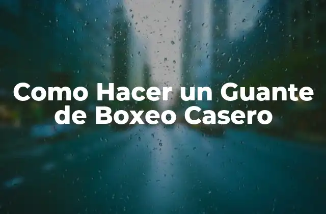 Como Hacer un Guante de Boxeo Casero