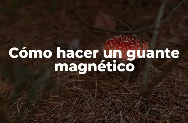 Cómo Hacer un Guante Magnético