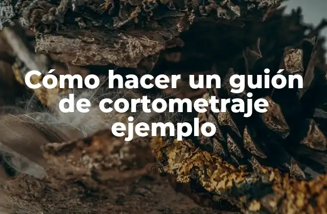 Cómo Hacer un Guión de Cortometraje Ejemplo 2 Cómo hacer un guión de cortometraje ejemplo