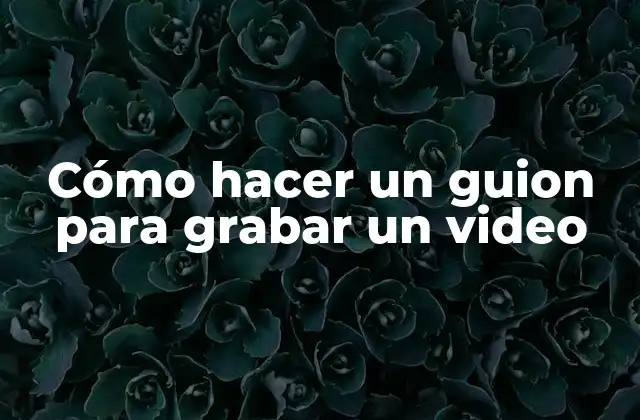 Cómo Hacer un Guion para Grabar un Video