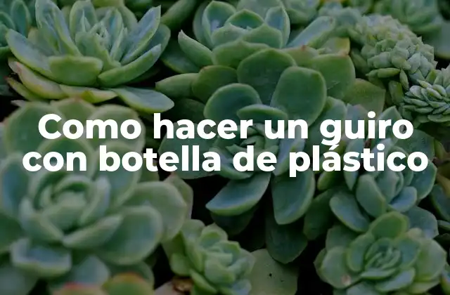 ¿Qué es un guiro con botella de plástico?