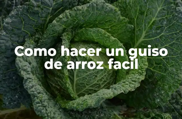 Como Hacer un Guiso de Arroz Facil