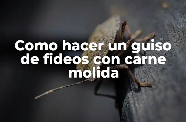 Como Hacer un Guiso de Fideos con Carne Molida