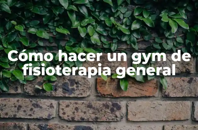 Cómo Hacer un Gym de Fisioterapia General