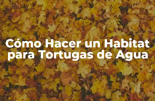 Cómo Hacer un Habitat para Tortugas de Agua