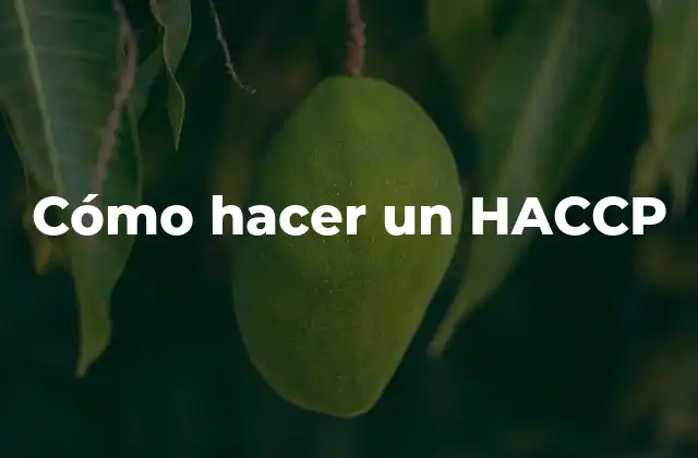 Cómo Hacer un Haccp